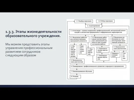 1.3.3. Этапы жизнедеятельности образовательного учреждения. Мы можем представить этапы управления профессиональным развитием сотрудников следующим образом