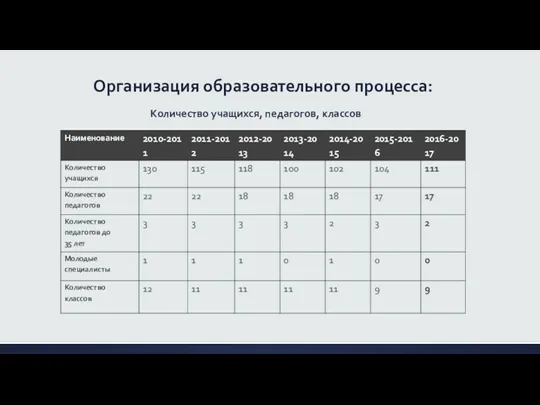 Организация образовательного процесса: Количество учащихся, педагогов, классов