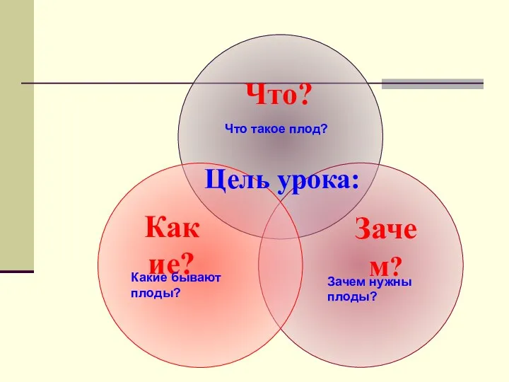 Что такое плод? Какие бывают плоды? Зачем нужны плоды?