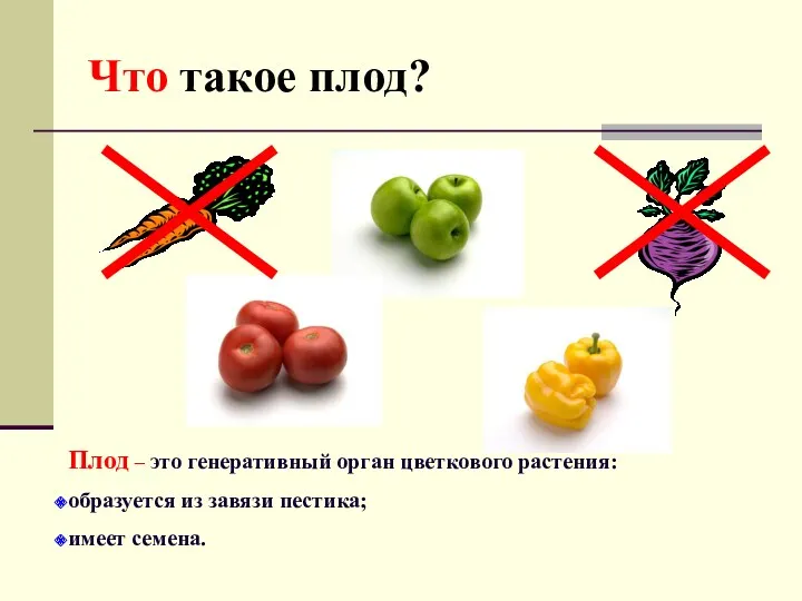 Что такое плод? Плод – это генеративный орган цветкового растения: образуется из завязи пестика; имеет семена.