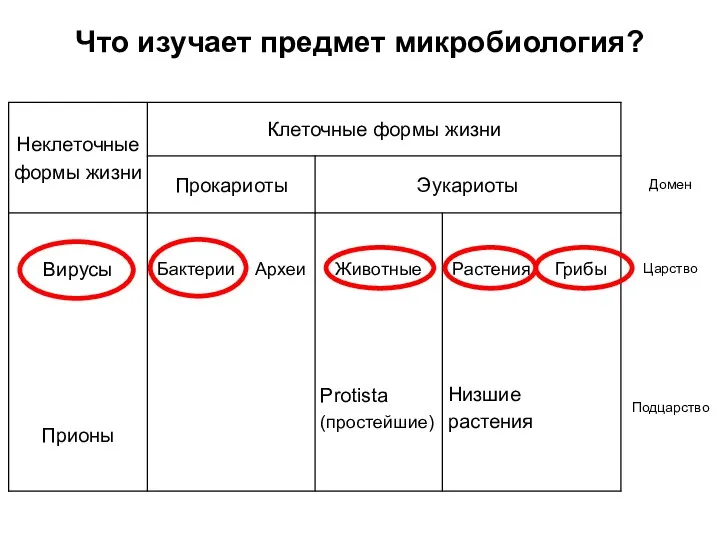 Что изучает предмет микробиология?