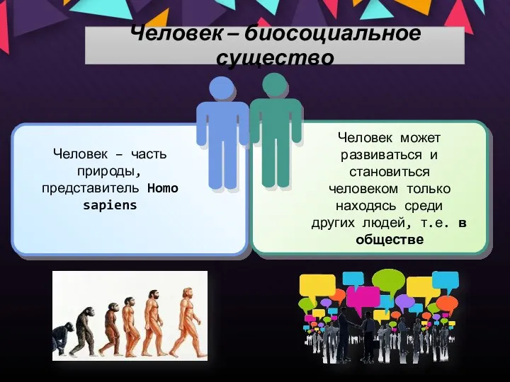 Человек – биосоциальное существо Человек – часть природы, представитель Homo sapiens