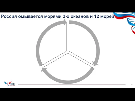 Россия омывается морями 3-х океанов и 12 морей 7