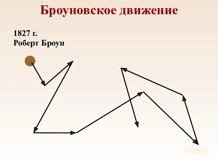 Броуновское движение 1827 г. Роберт Броун