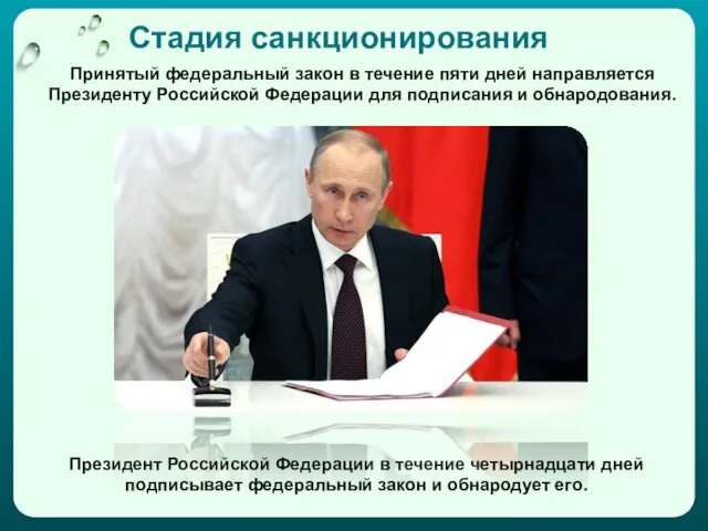 Стадия санкционирования Принятый федеральный закон в течение пяти дней направляется Президенту Российской Федерации