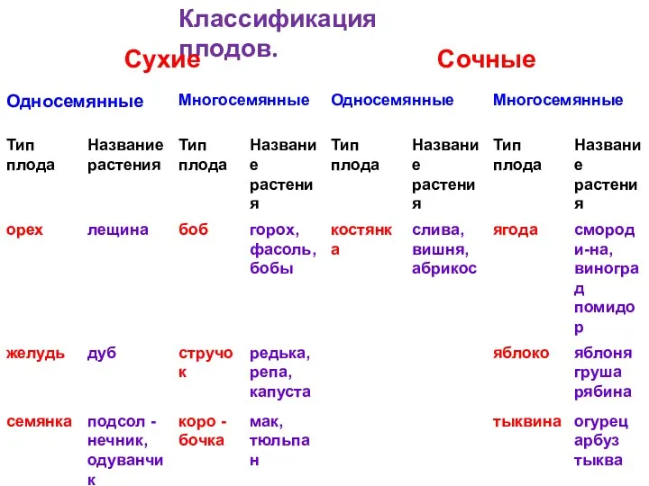 Классификация плодов.