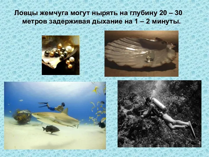 Ловцы жемчуга могут нырять на глубину 20 – 30 метров