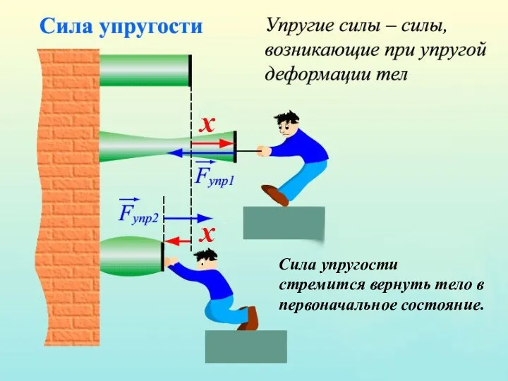 Сила упругости стремится вернуть тело в первоначальное состояние.