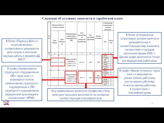 Сведения об условиях занятости и заработной плате В блоке «Период