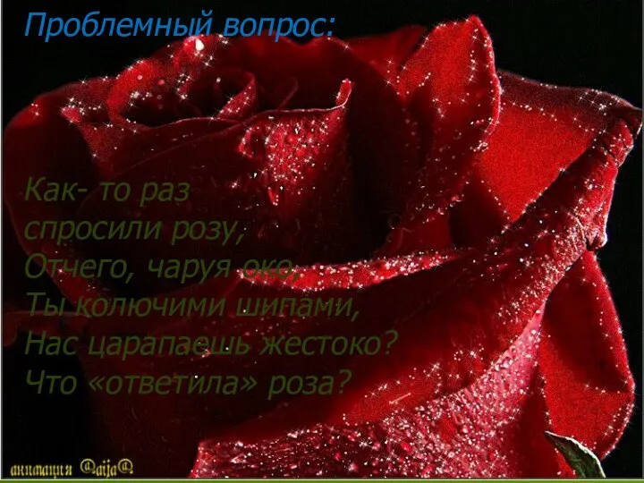 Как- то раз спросили розу, Отчего, чаруя око, Ты колючими шипами, Нас царапаешь