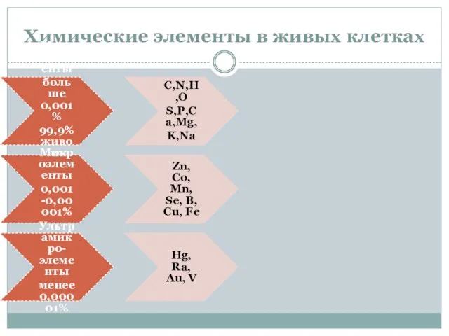 Химические элементы в живых клетках Макроэлементы больше 0,001 % 99,9%