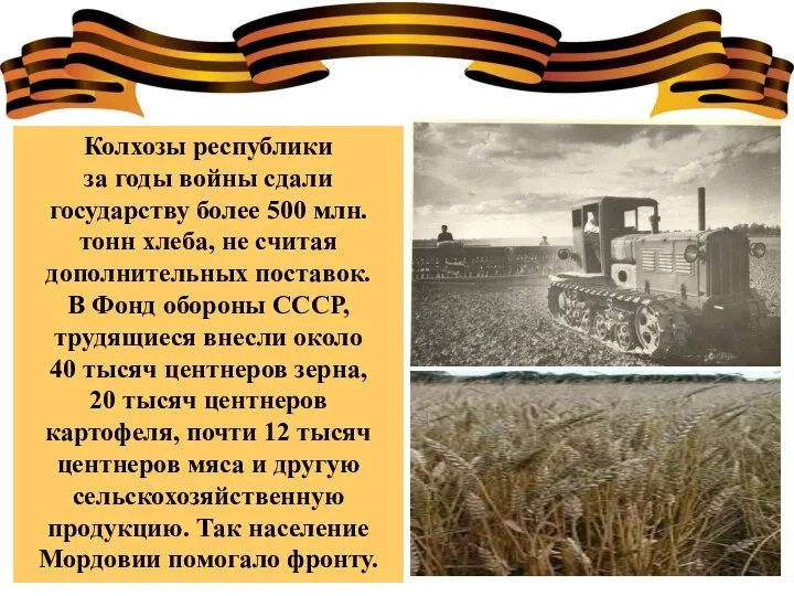 Колхозы республики за годы войны сдали государству более 500 млн. тонн хлеба, не