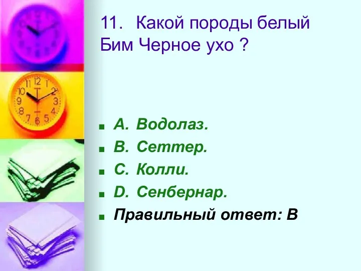 11. Какой породы белый Бим Черное ухо ? A. Водолаз.