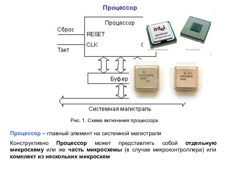 Процессор Рис. 1. Схема включения процессора Процессор – главный элемент на системной магистрали
