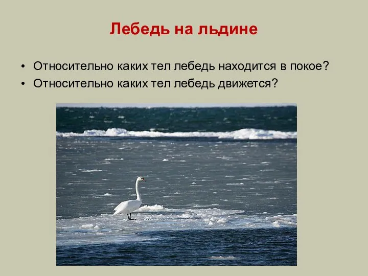 Лебедь на льдине Относительно каких тел лебедь находится в покое? Относительно каких тел лебедь движется?
