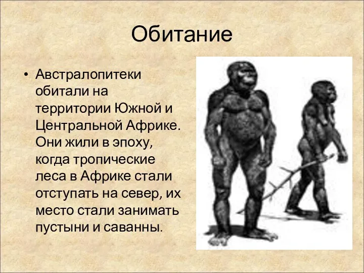 Обитание Австралопитеки обитали на территории Южной и Центральной Африке. Они