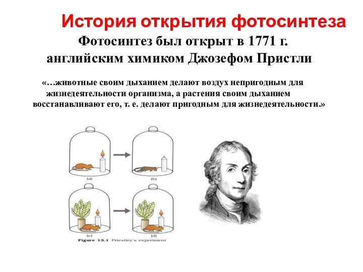 История открытия фотосинтеза Фотосинтез был открыт в 1771 г. английским