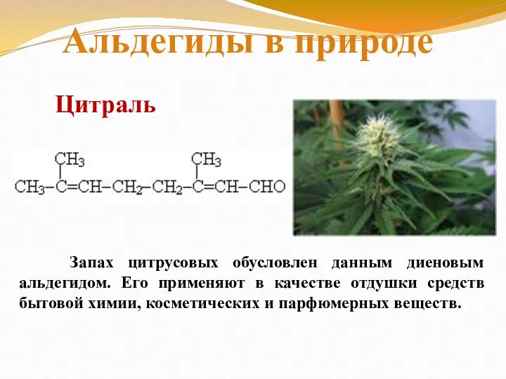 Запах цитрусовых обусловлен данным диеновым альдегидом. Его применяют в качестве