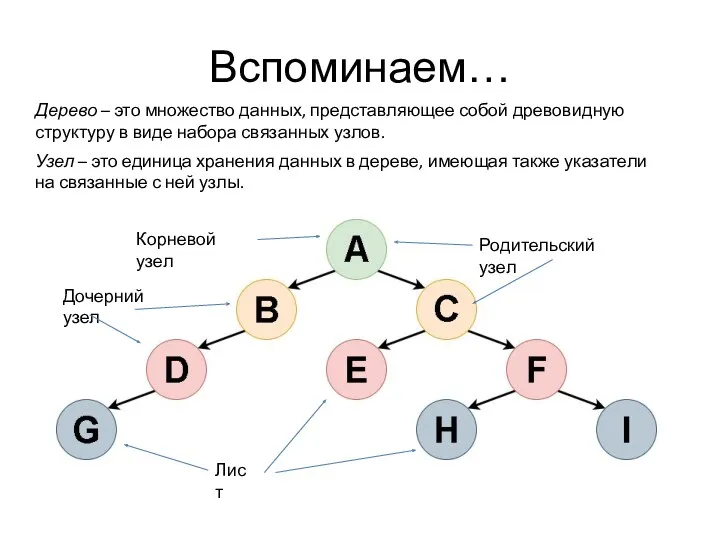 Вспоминаем… Дерево – это множество данных, представляющее собой древовидную структуру