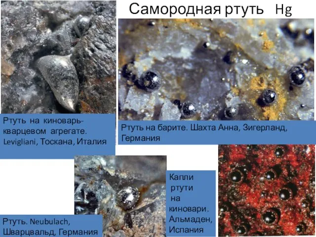 Самородная ртуть Hg Ртуть на киноварь-кварцевом агрегате. Levigliani, Тоскана, Италия