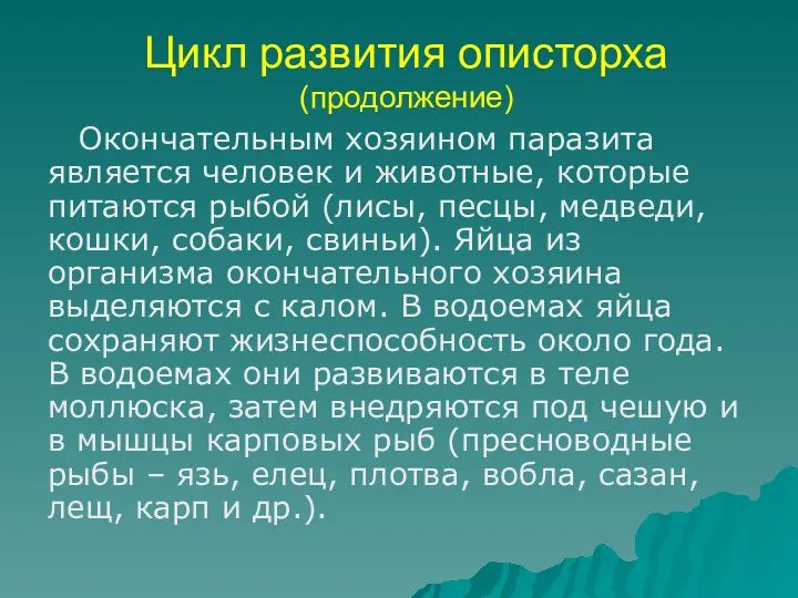 Цикл развития описторха (продолжение) Окончательным хозяином паразита является человек и