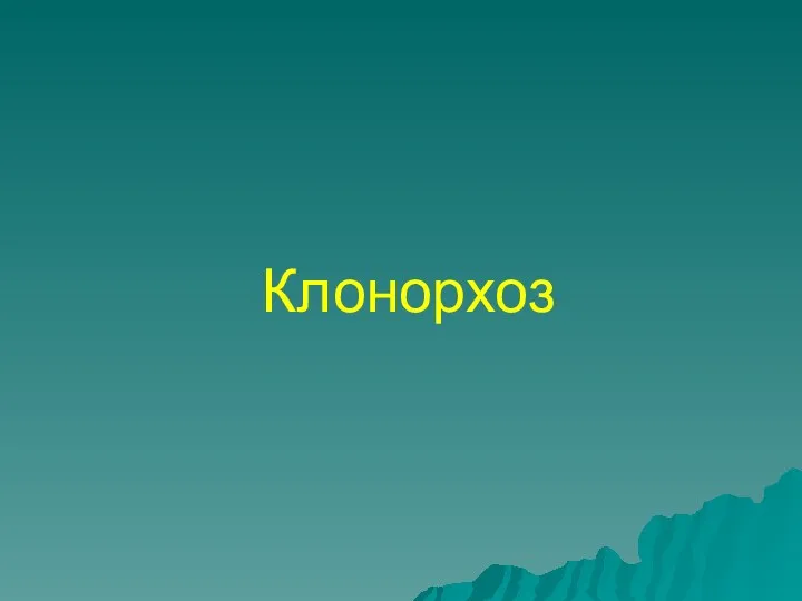 Клонорхоз