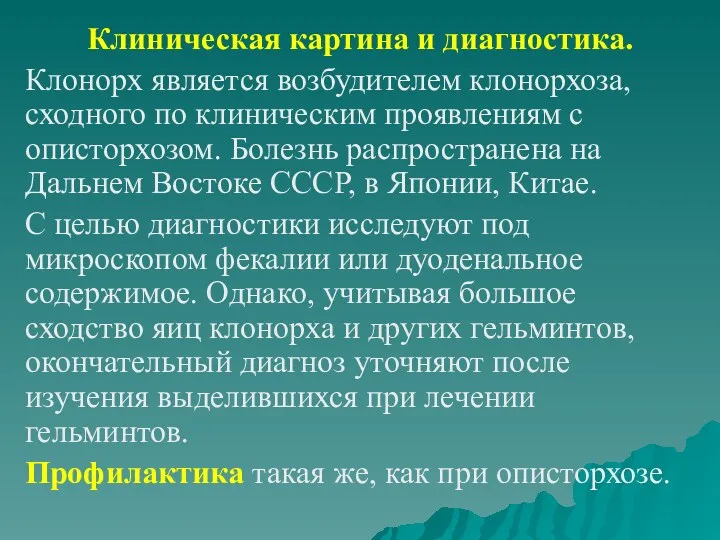 Клиническая картина и диагностика. Клонорх является возбудителем клонорхоза, сходного по