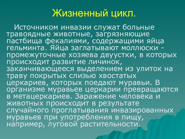 Жизненный цикл. Источником инвазии служат больные травоядные животные, загрязняющие пастбища