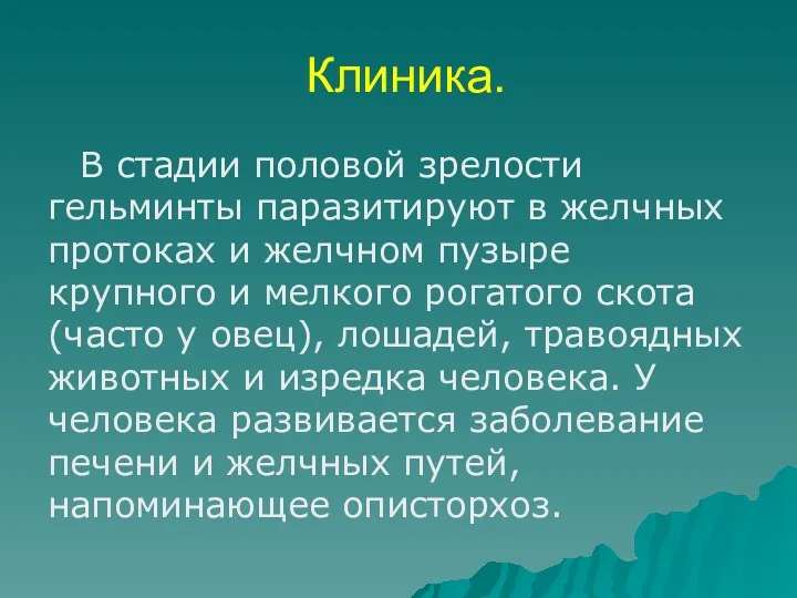 Клиника. В стадии половой зрелости гельминты паразитируют в желчных протоках