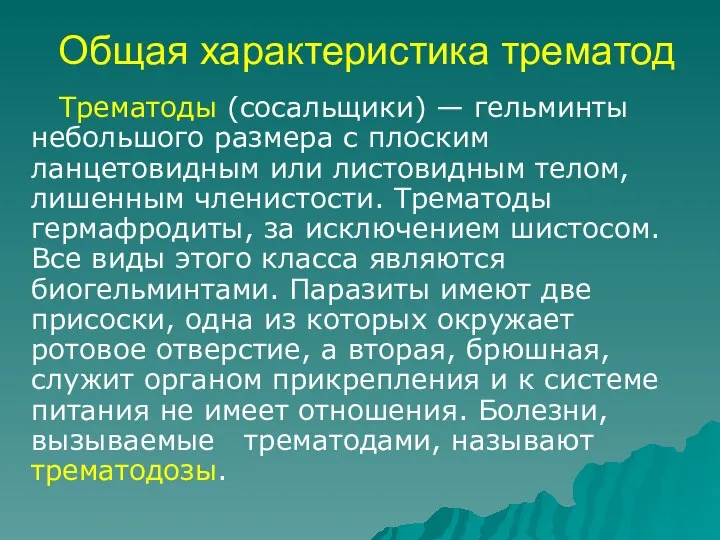 Общая характеристика трематод Трематоды (сосальщики) — гельминты небольшого размера с