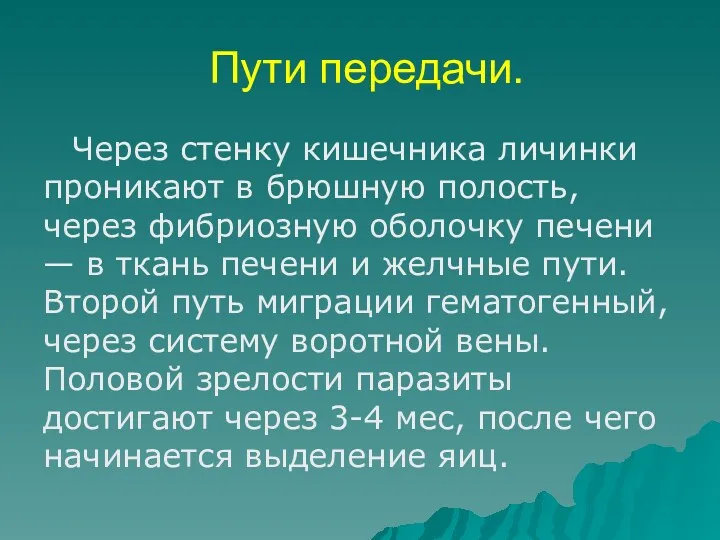 Пути передачи. Через стенку кишечника личинки проникают в брюшную полость,