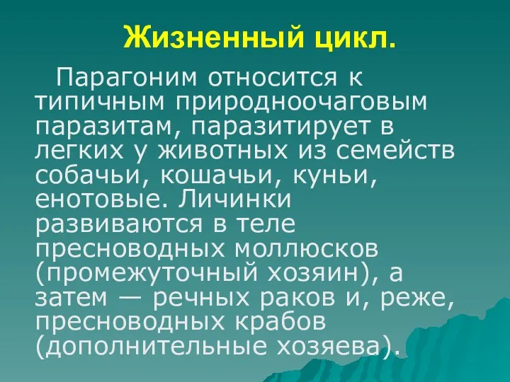 Жизненный цикл. Парагоним относится к типичным природноочаговым паразитам, паразитирует в