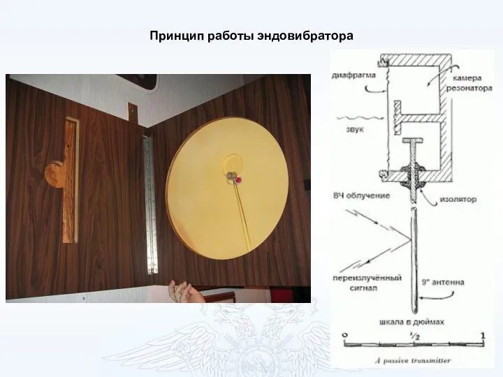 Принцип работы эндовибратора