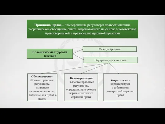 Принципы права – это первичные регуляторы правоотношений, теоретическое обобщение опыта,