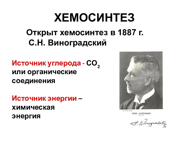 ХЕМОСИНТЕЗ Открыт хемосинтез в 1887 г. С.Н. Виноградский Источник углерода