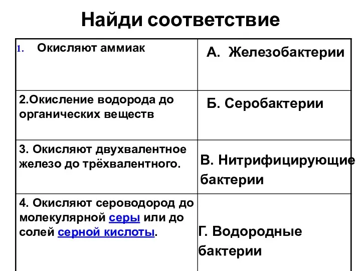 Найди соответствие А. Железобактерии Б. Серобактерии В. Нитрифицирующие бактерии Г. Водородные бактерии