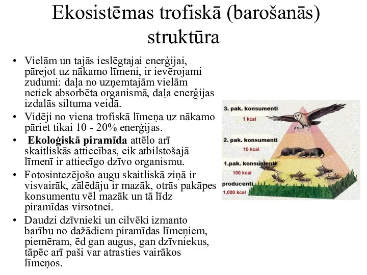 Ekosistēmas trofiskā (barošanās) struktūra Vielām un tajās ieslēgtajai enerģijai, pārejot