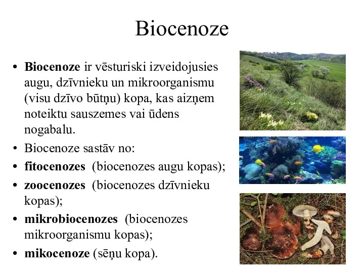 Biocenoze Biocenoze ir vēsturiski izveidojusies augu, dzīvnieku un mikroorganismu (visu