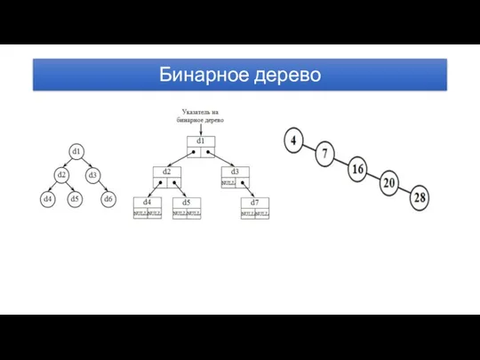 Бинарное дерево