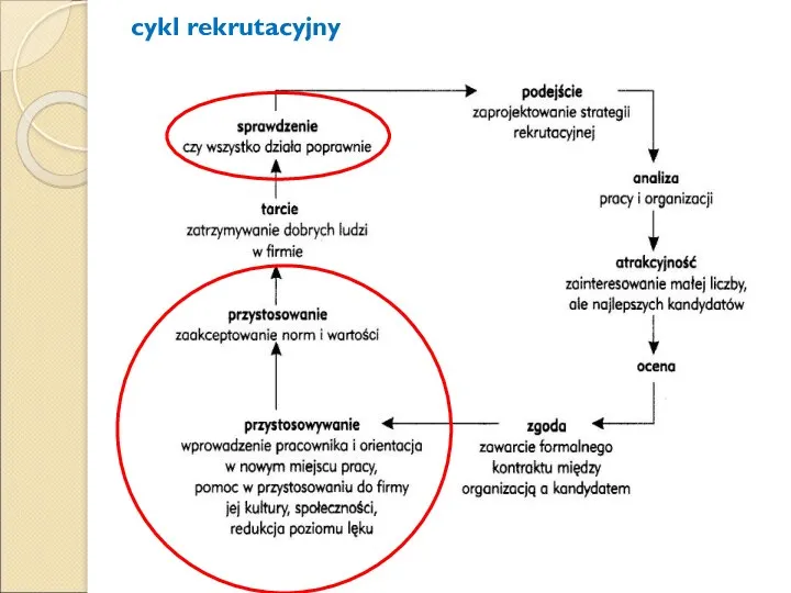 cykl rekrutacyjny