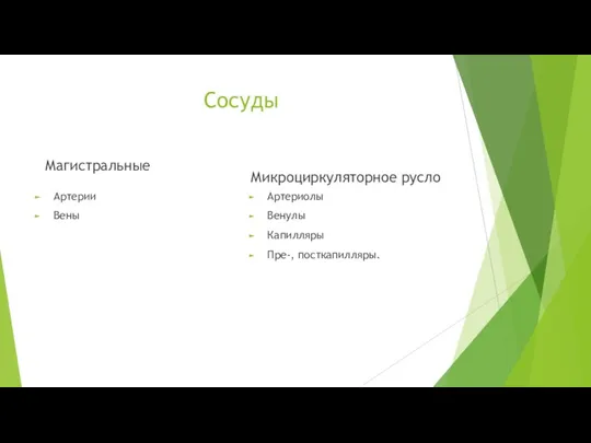 Сосуды Магистральные Артерии Вены Микроциркуляторное русло Артериолы Венулы Капилляры Пре-, посткапилляры.