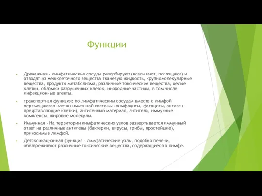 Функции Дренажная - лимфатические сосуды резорбируют (всасывают, поглощают) и отводят