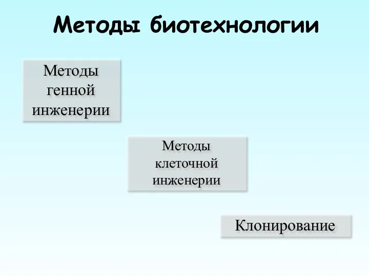 Методы биотехнологии Методы клеточной инженерии Методы генной инженерии Клонирование