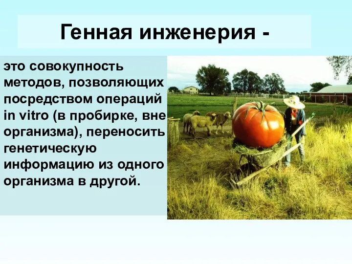 Генная инженерия - это совокупность методов, позволяющих посредством операций in