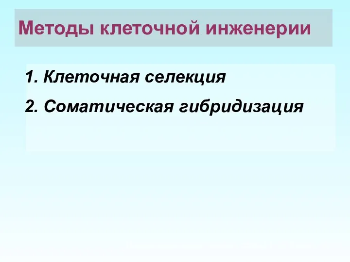 Методы клеточной инженерии Клеточная селекция Соматическая гибридизация Презентация подготовлена Сапун А.С., Минск, 2010