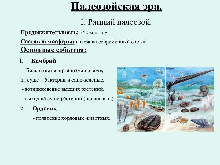 Палеозойская эра. I. Ранний палеозой. Продолжительность: 350 млн. лет. Состав