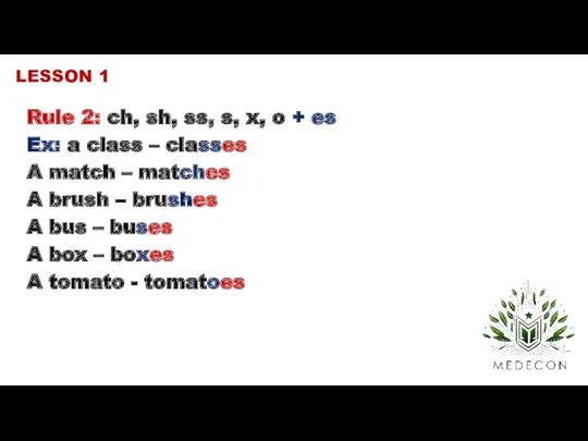 Rule 2: ch, sh, ss, s, x, o + es