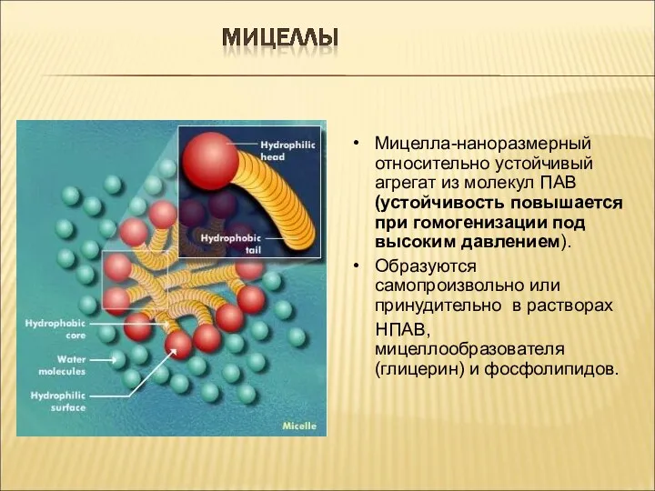 Мицелла-наноразмерный относительно устойчивый агрегат из молекул ПАВ (устойчивость повышается при