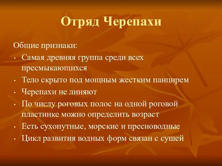 Отряд Черепахи Общие признаки: Самая древняя группа среди всех пресмыкающихся