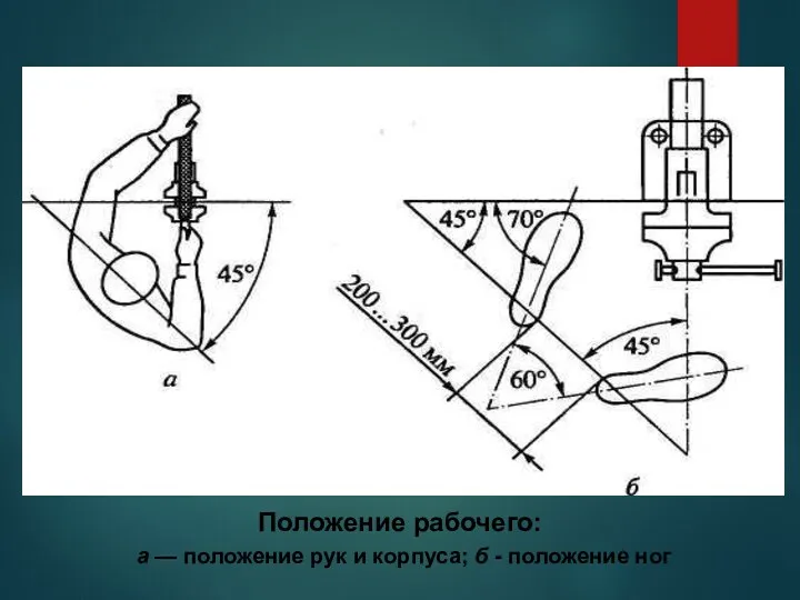 Продолжение 4 вопроса Положение рабочего: а — положение рук и корпуса; б - положение ног